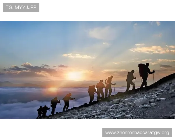 深入探讨PA视讯官网集团的企业背景、发展历程及未来战略布局 深入探讨PA视讯官网集团的企业背景、发展历程及未来战略布局