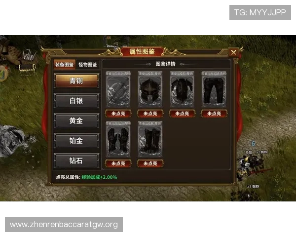 百家乐伴侣帮助新手快速入门掌握玩法技巧的详细教程