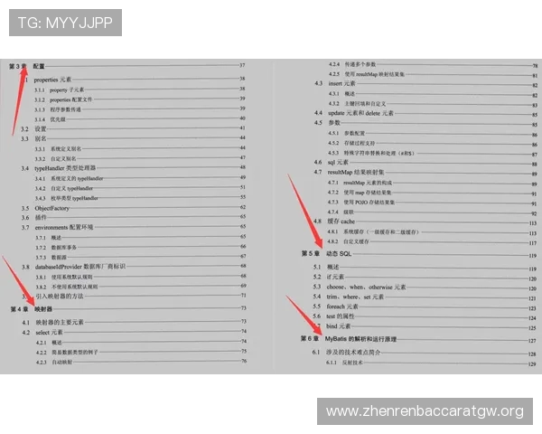 深入分析真人百家官网真人百家游戏的赔率机制，提升你的胜算